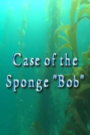 Case of the Sponge 