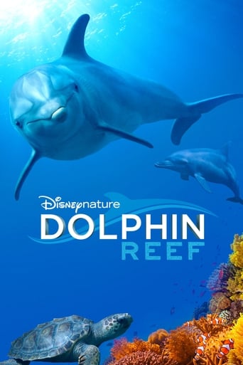 Delfines, la vida en el arrecife
