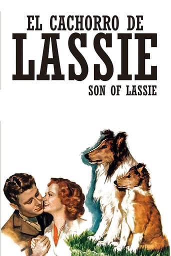 El cachorro de Lassie