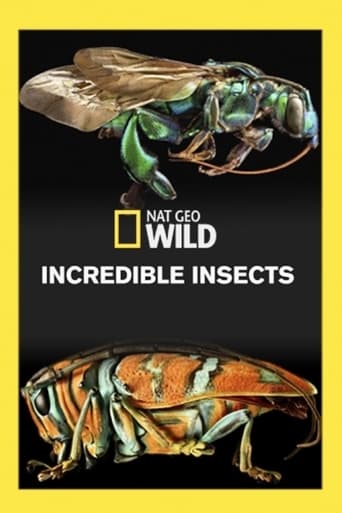 Insectos increíbles