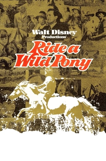 Ride a Wild Pony