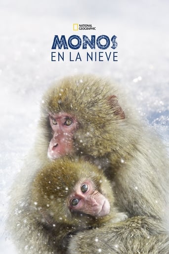Wild Japón: monos de la nieve