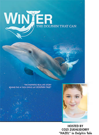 Winter, the Dolphin that Can